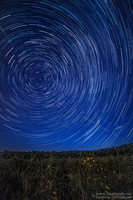 2015-08-22 - Star Trails at Observation Park
