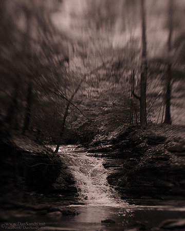 2012-02-24 – Third place - Year end event - Nature Categor