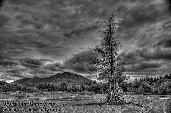 2014-05-17-Second place 2013-07-12 - Third Place - B&W Pictorial Competition