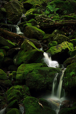 2012-06-29 – Third place - Nature Competition