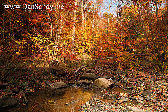 near Bridal Veil Falls - Bedford Reservation