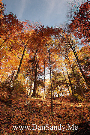 near Bridal Veil Falls - Bedford Reservation