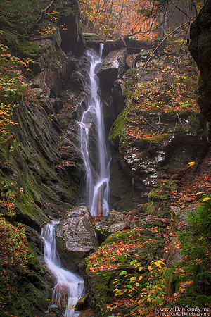2013-02-22 – Honorable Mention – Nature Competition
