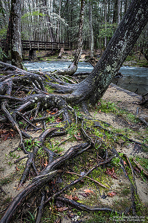 Cades Cove - Smoky Mountain National Park