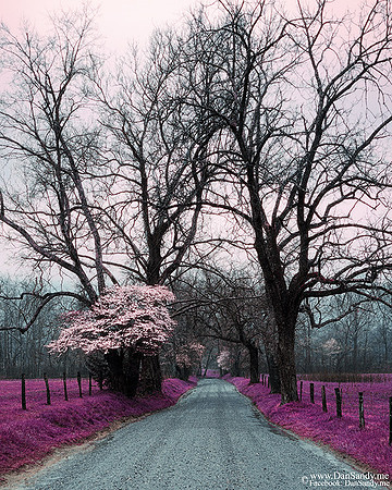 Cades Cove - Smoky Mountain National Park