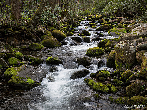 Somewhere in the Smoky Mountains