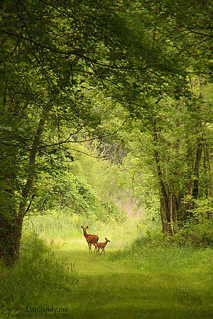 2014 - made top 25  at the Cleveland Sustainability Summit photo contest