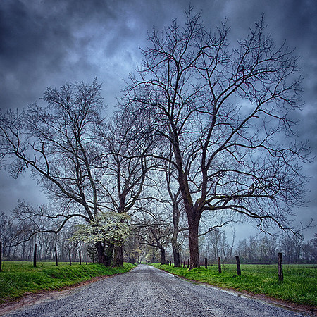 Cades Cove - Smoky Mountain National Park