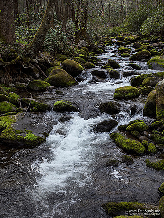 Somewhere in the Smoky Mountains