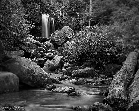 Below Grotto Falls in the Smoky Mountain National Park