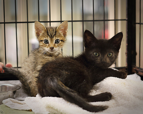 former clinic visitors