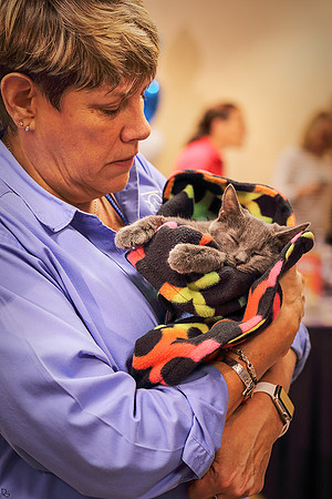 Sharon Harvey with an injured cat