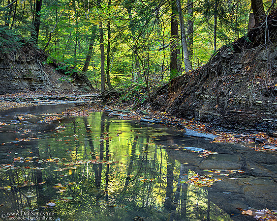 11/06/2015 - Did Not Place - Nature Competition - "Emerald Reflections"