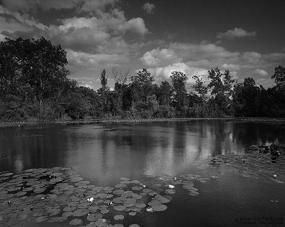 2012-03-09 - Did Not Place - Projection Competition - "Lilly Pond"