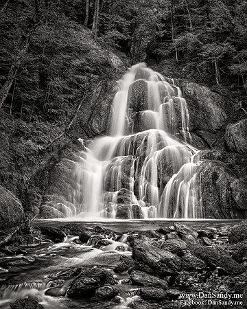 2014-02-21 Honorable Mention - Nature Competition