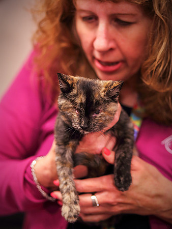 Judy with a kitten