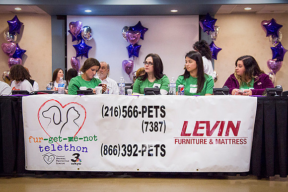 2017-03-10_Fur_Get_Me_Not_Telethon