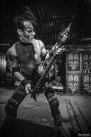 Doyle Wolfgang Von Frankenstein