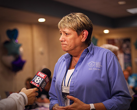 Post interview with Sharon Harvey
