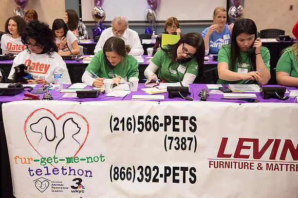 2017-03-10_Fur_Get_Me_Not_Telethon