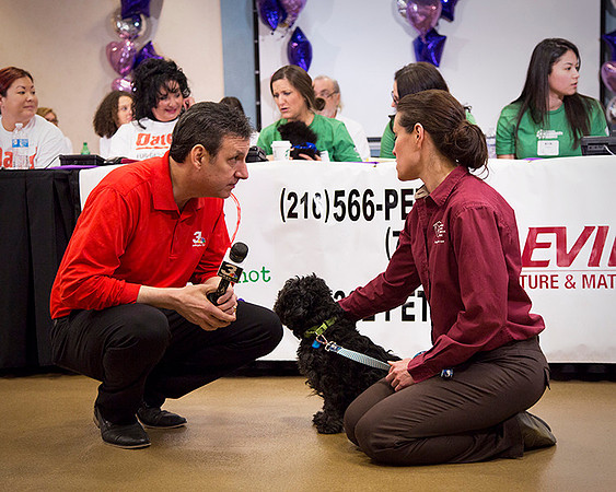 2017-03-10_Fur_Get_Me_Not_Telethon