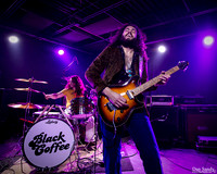 Justin Young