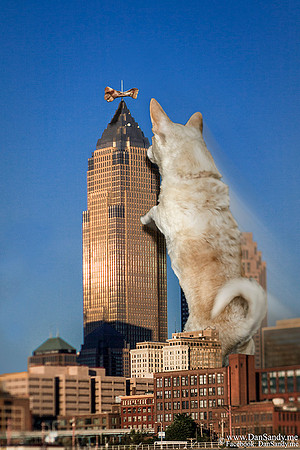 2015-03-21 - Honorable Mention - Creative Competition (Through processing) - "Awwwmageddon 3: Doggie Dilemma"