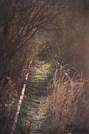Abandoned rails near Jaite paper mill - Tillt-shift photo