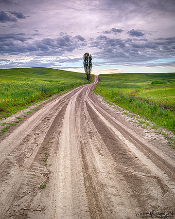2017-09-08 - 1st Place - Pictorial Competition - "Dusty Dirt Road"