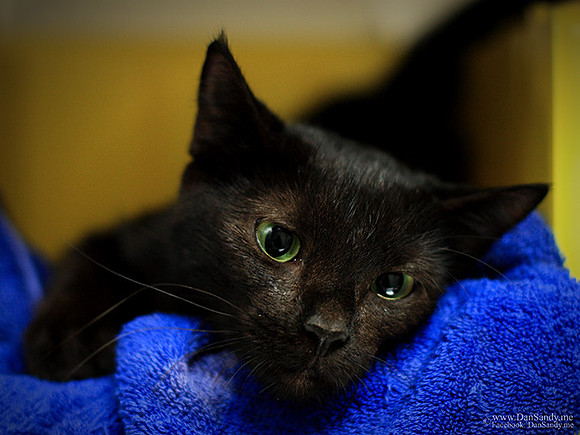 2016-01-01